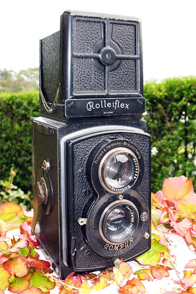 Rolleiflex Old Standard